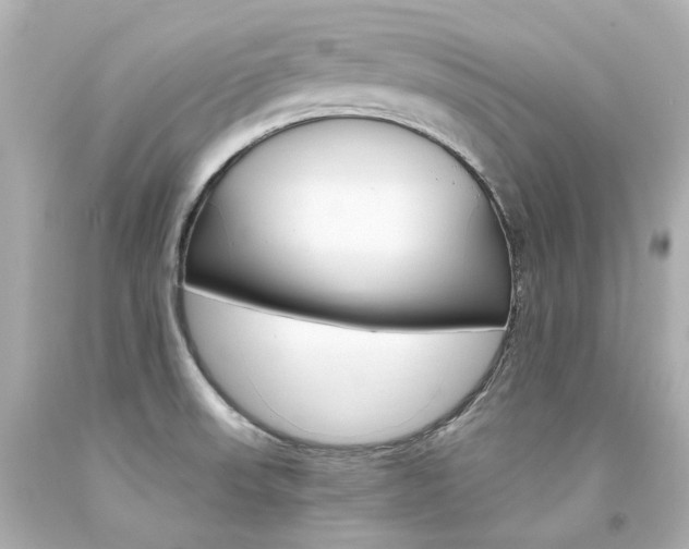 X0000094361523200711021324