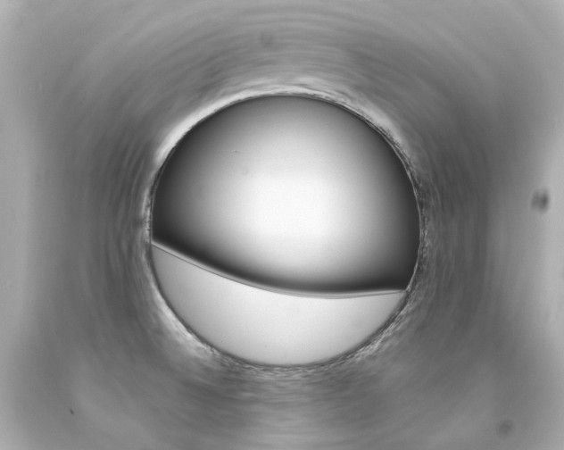 X0000094361524200711021324