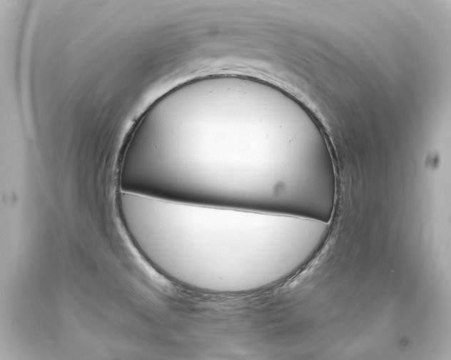 X0000094361525200711021324