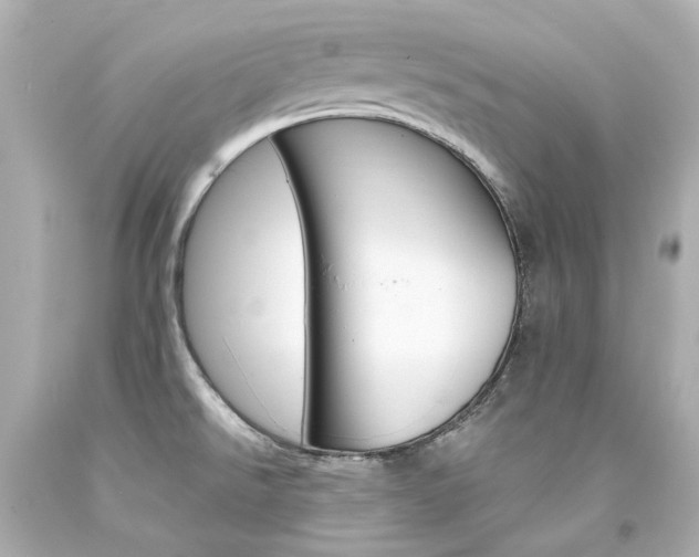 X0000094361526200711021324