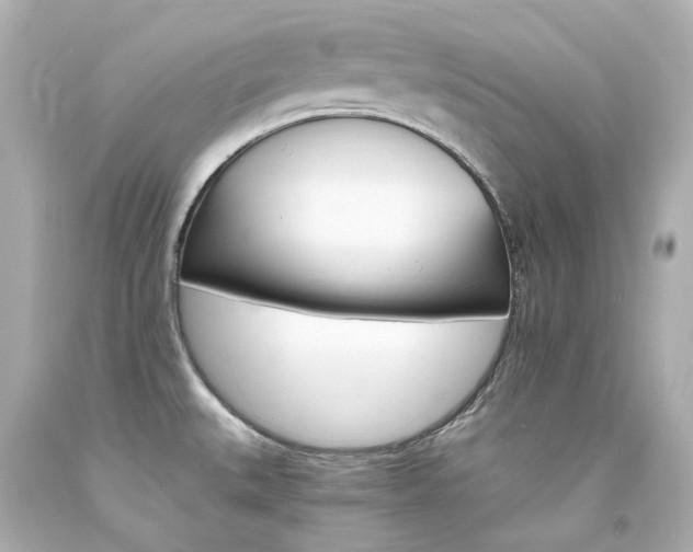 X0000094361527200711021324