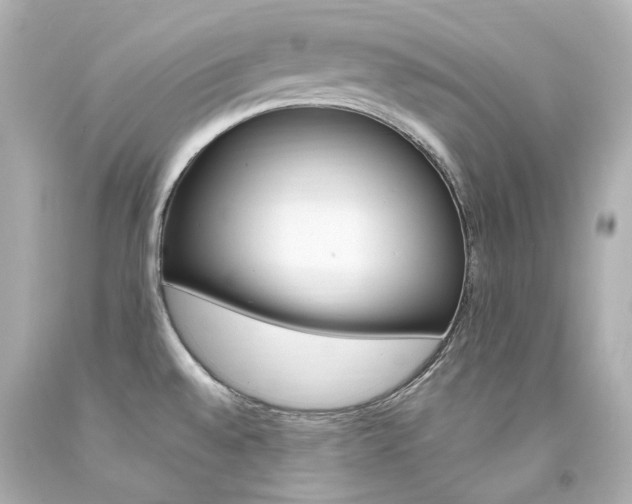 X0000094361528200711021324