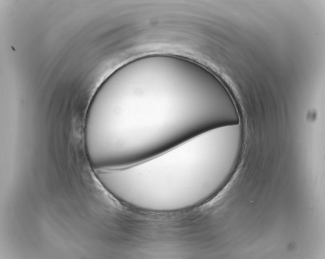 X0000094361529200711021324