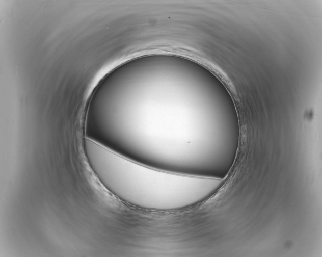 X0000094361530200711021324