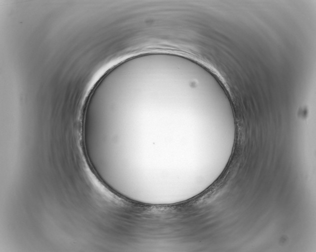 X0000094361531200711021324