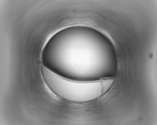 X0000094361532200711021324