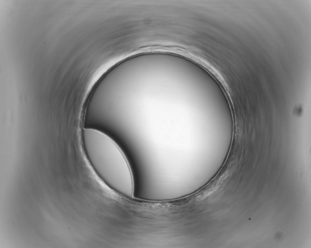 X0000094361533200711021324