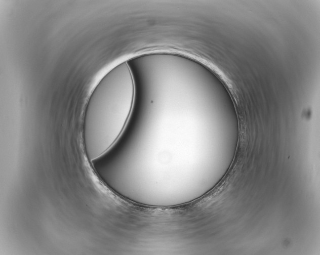 X0000094361534200711021324