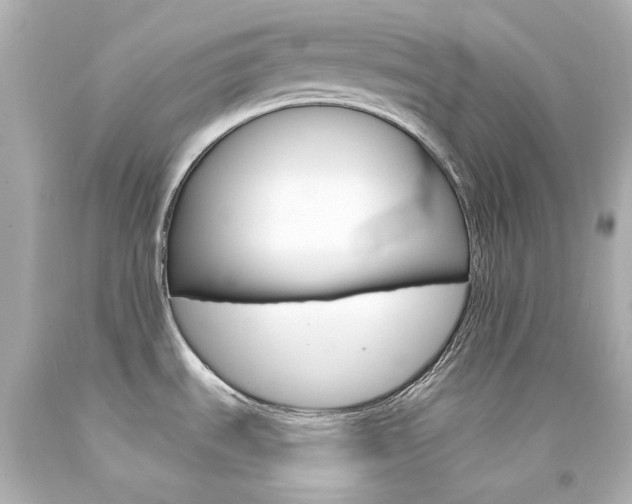 X0000094361535200711021324