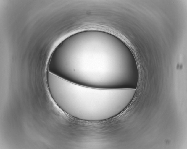 X0000094361536200711021324