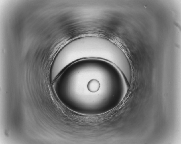 X0000094360001200711021519
