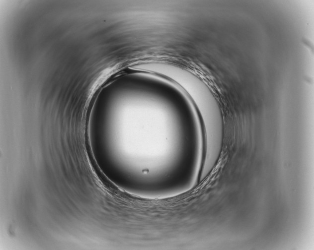 X0000094360003200711021519