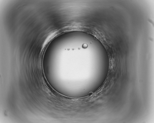 X0000094360004200711021519