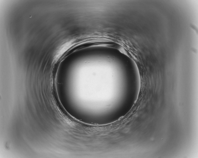X0000094360005200711021519