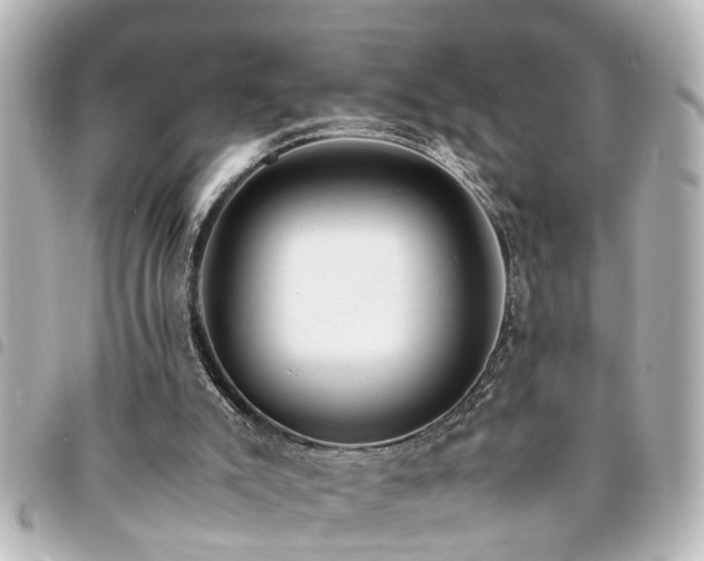 X0000094360007200711021519