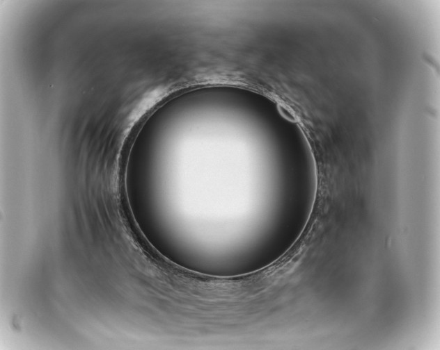 X0000094360008200711021519