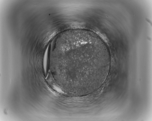 X0000094360009200711021519