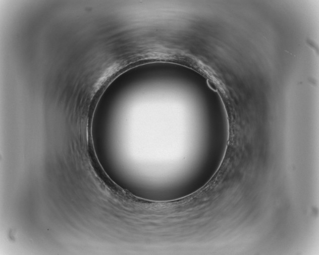 X0000094360011200711021519
