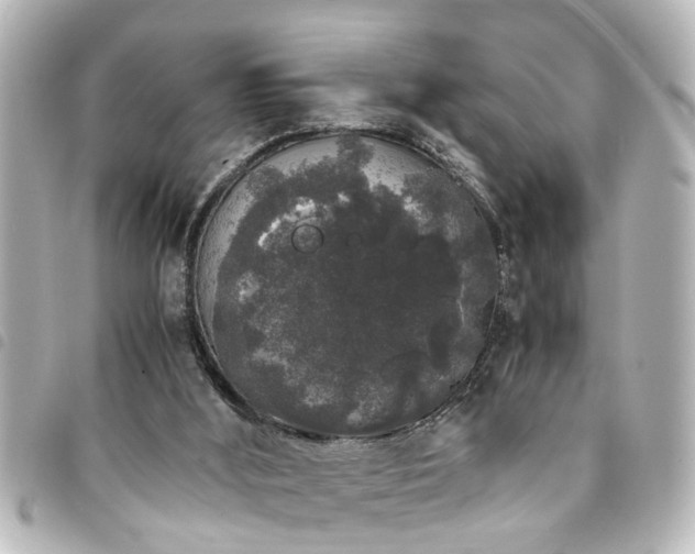 X0000094360012200711021519