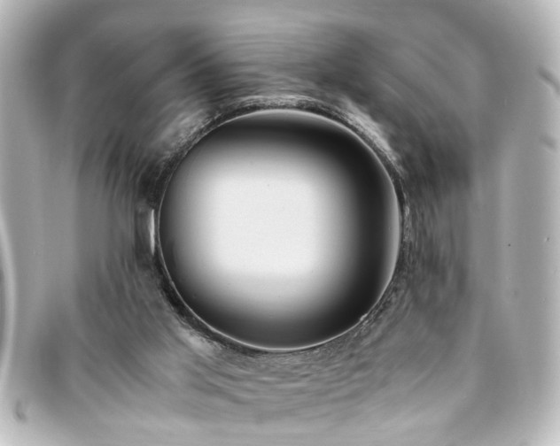 X0000094360013200711021519
