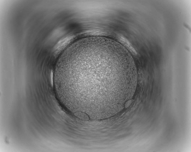 X0000094360014200711021519