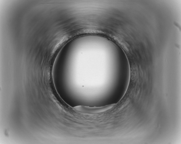 X0000094360015200711021519