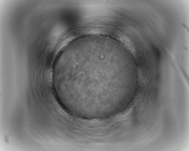 X0000094360016200711021519