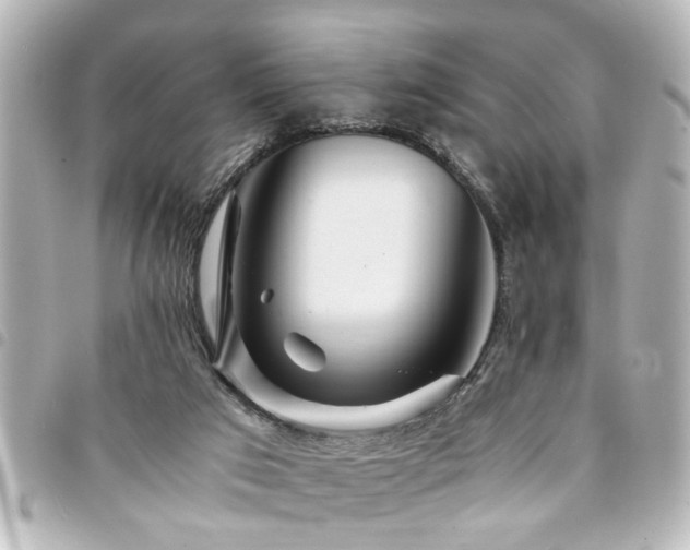 X0000094360017200711021519