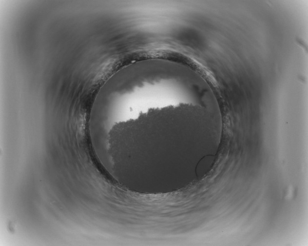 X0000094360018200711021519