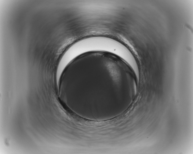 X0000094360019200711021519