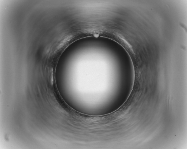 X0000094360020200711021519