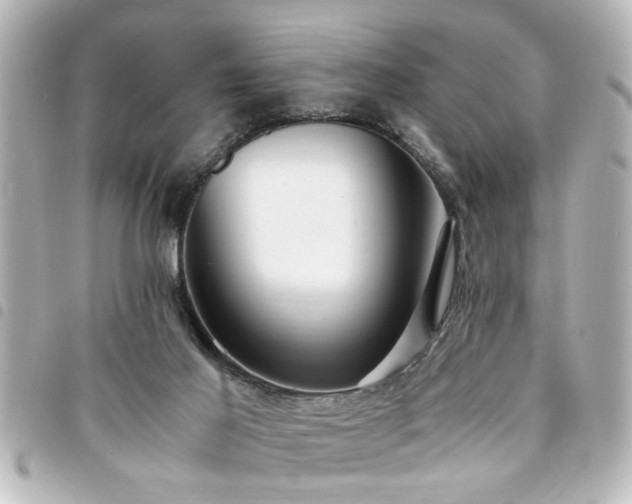 X0000094360021200711021519