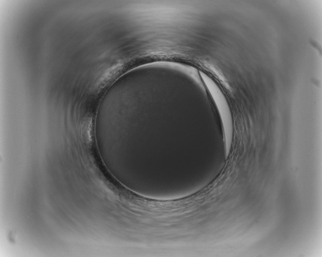 X0000094360023200711021519