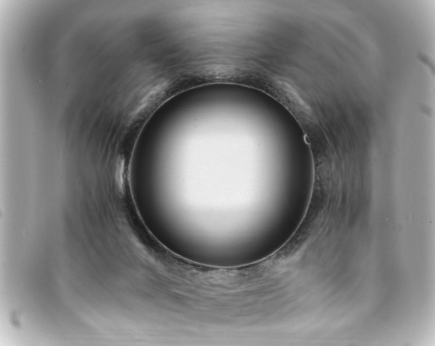 X0000094360024200711021519