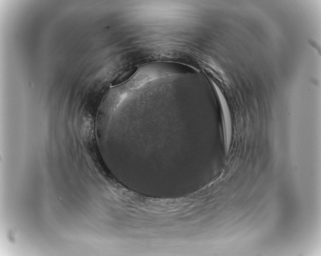 X0000094360029200711021518