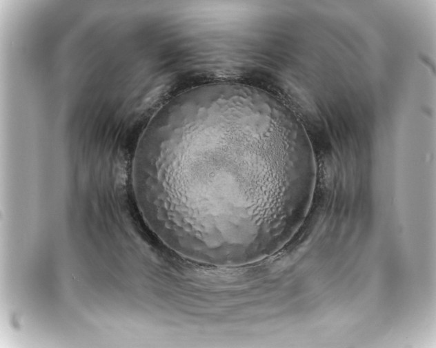 X0000094360032200711021518
