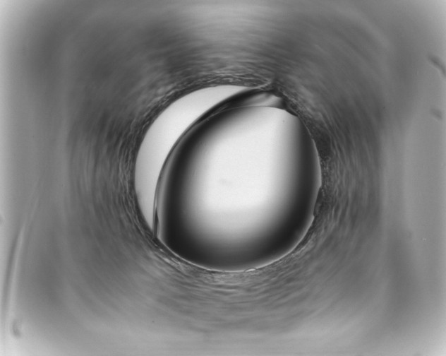 X0000094360033200711021518