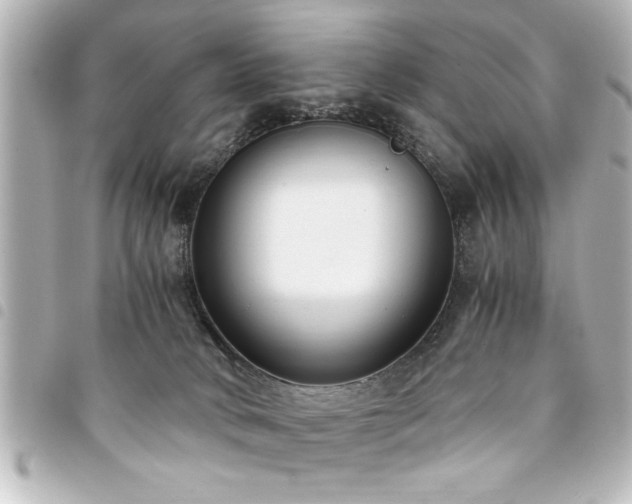 X0000094360034200711021518