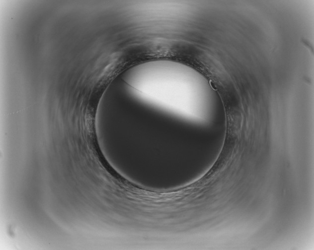 X0000094360035200711021518