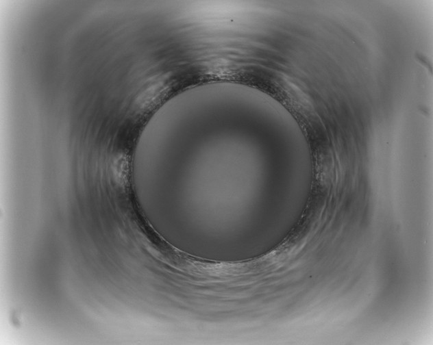 X0000094360036200711021518