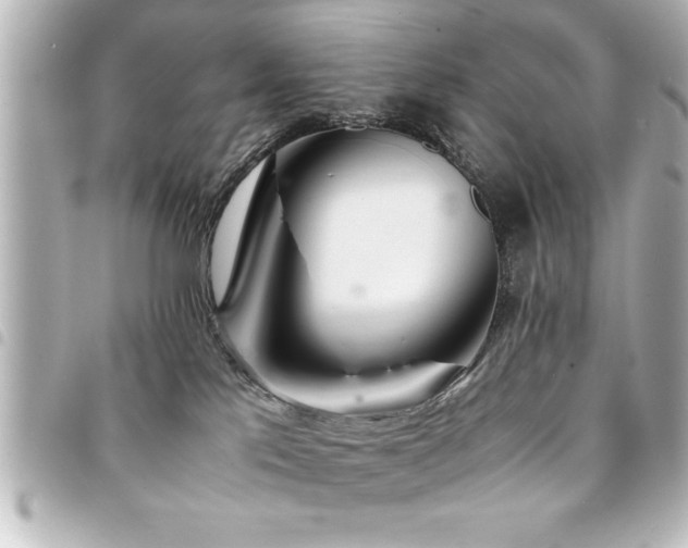 X0000094360041200711021518