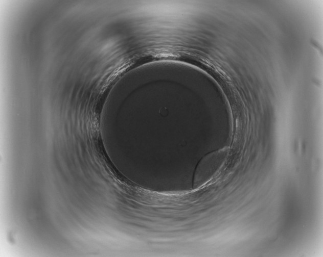 X0000094360048200711021518