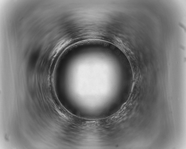 X0000094360050200711021518