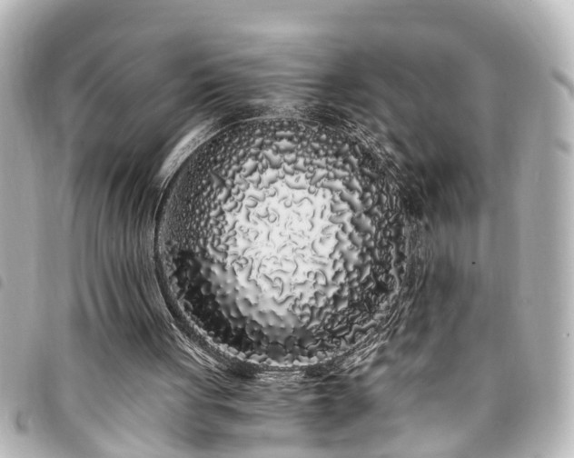 X0000094360051200711021518