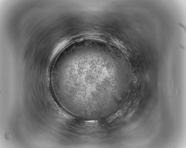 X0000094360053200711021518