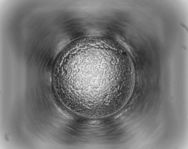 X0000094360059200711021518