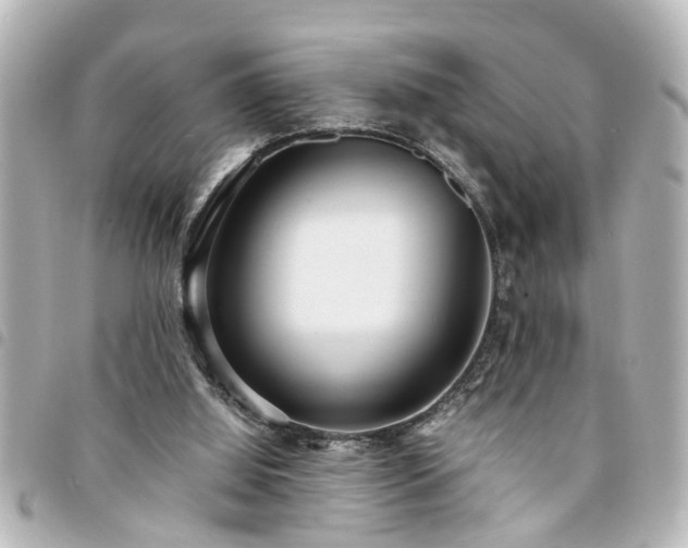 X0000094360060200711021518
