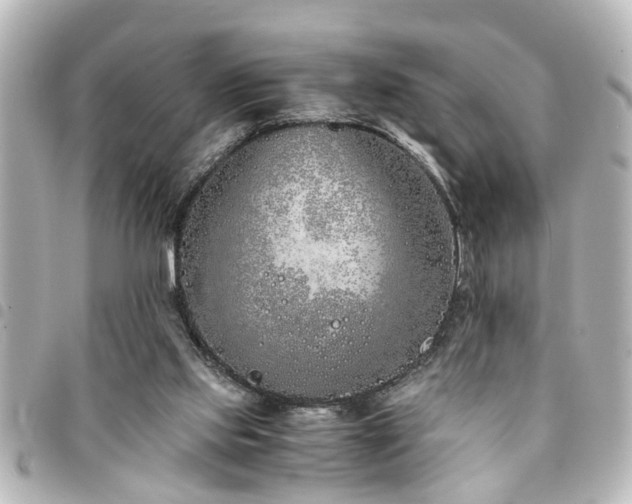 X0000094360061200711021518