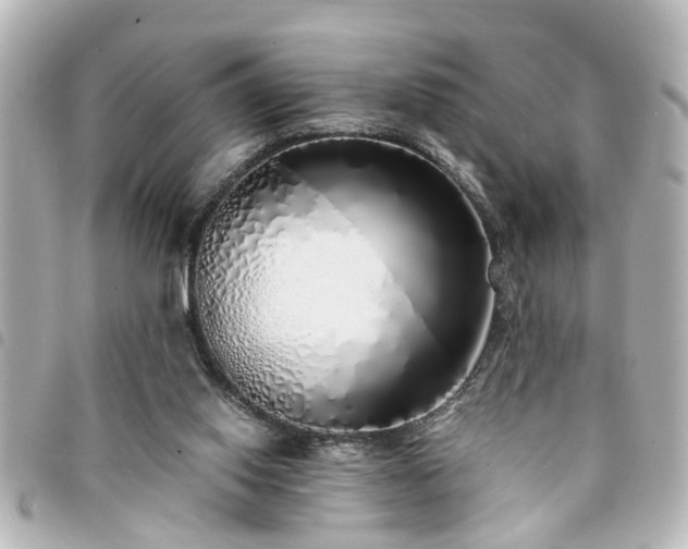 X0000094360062200711021518