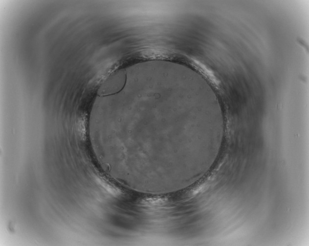 X0000094360065200711021518